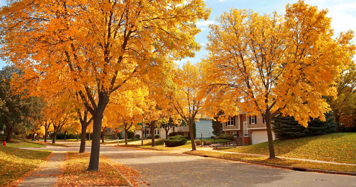 Voortman_Blog_Image_Homebuying_Seasons